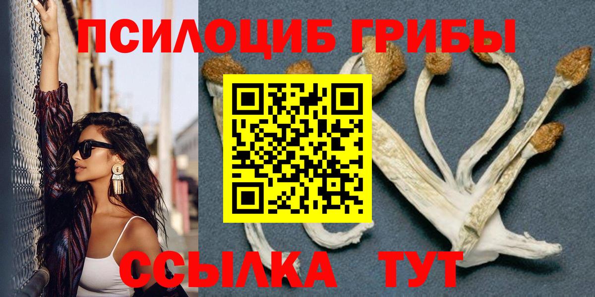 Псилоцибиновые грибы прущие грибы Новоалтайск